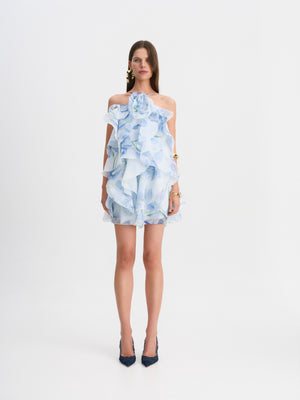 Pandorea Layered Mini Dress
