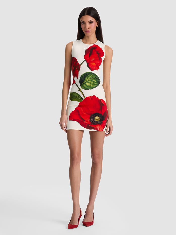 Wynell Mini Dress