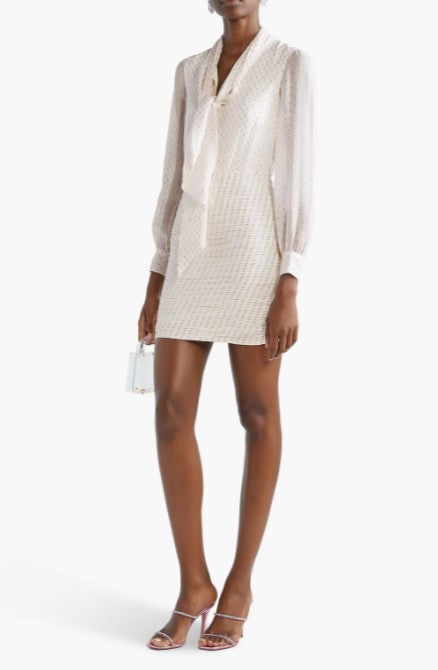 Metallic Fil Coupe Silk-Blend Chiffon Mini Dress