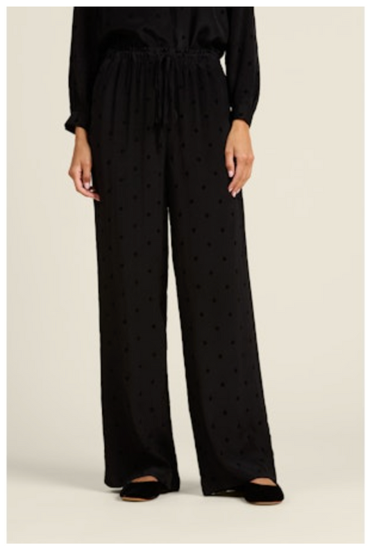 Vera Pant