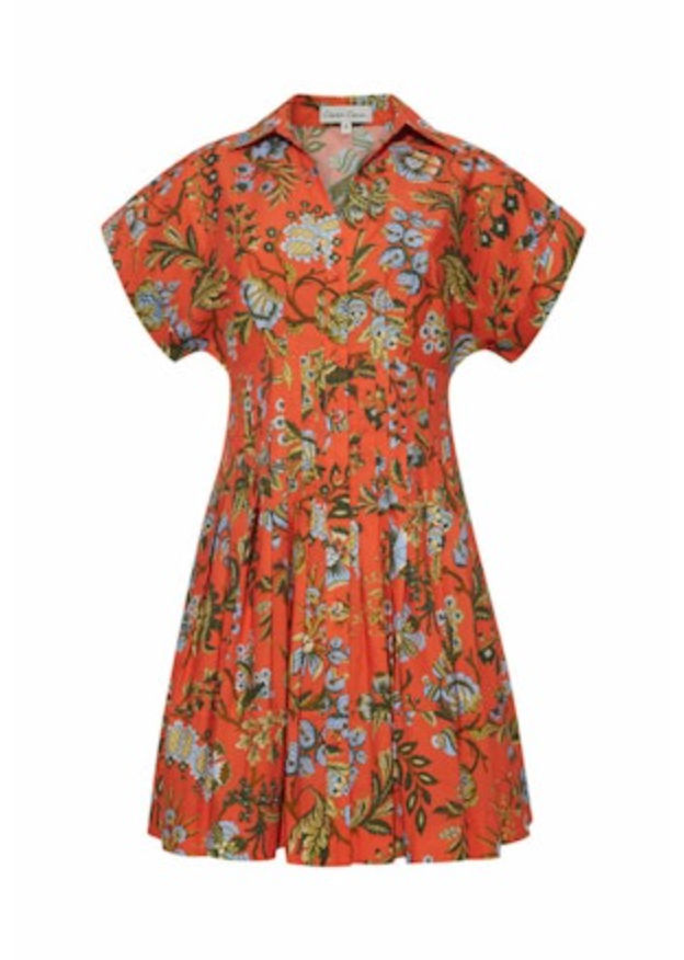 Nash Mini Dress