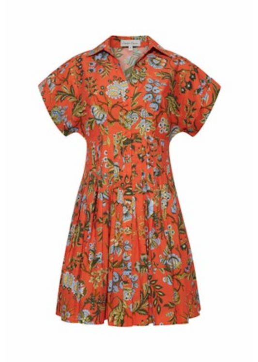 Nash Mini Dress