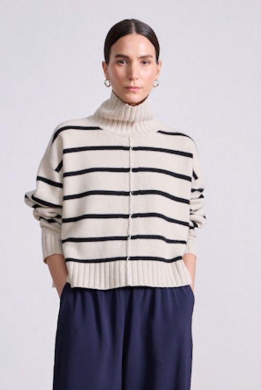 Cropped Turtleneck Stripe