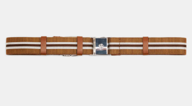 Stretchy Chic Belt