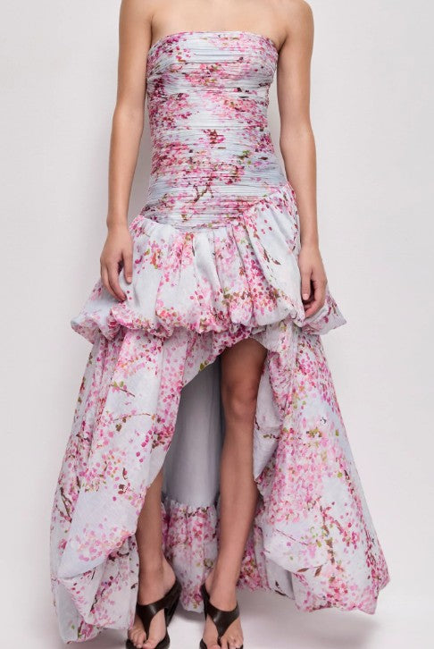 Ambrose Gown