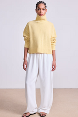 Ari Cropped Turtle