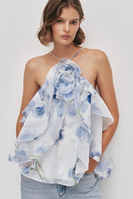 Pandorea Layered Top