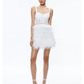 Xia Sheer Bustier Feathered Mini Dress
