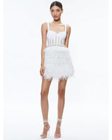 Xia Sheer Bustier Feathered Mini Dress