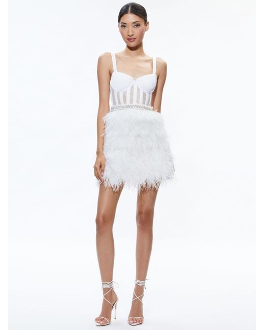 Xia Sheer Bustier Feathered Mini Dress